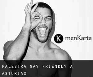 Palestra Gay Friendly a Asturias