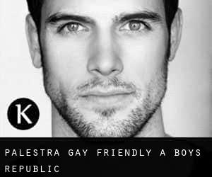 Palestra Gay Friendly a Boys Republic