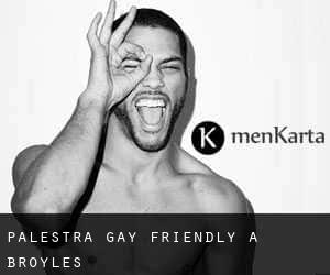 Palestra Gay Friendly a Broyles