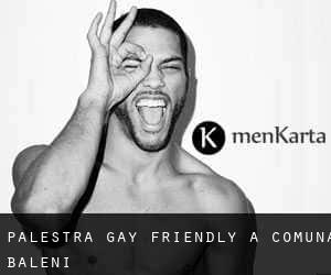Palestra Gay Friendly a Comuna Băleni