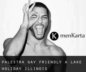 Palestra Gay Friendly a Lake Holiday (Illinois)