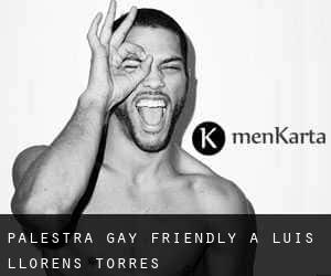 Palestra Gay Friendly a Luis Llorens Torres