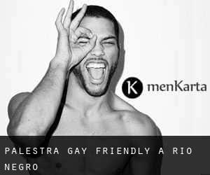 Palestra Gay Friendly a Río Negro