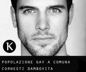 Popolazione Gay a Comuna Corneşti (Dâmboviţa)