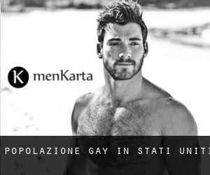 Popolazione Gay in Stati Uniti