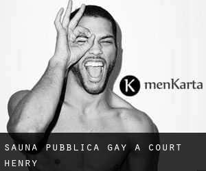 Sauna pubblica Gay a Court Henry
