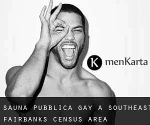 Sauna pubblica Gay a Southeast Fairbanks Census Area